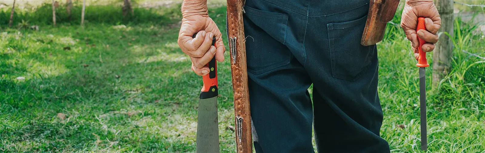 Limpieza y cuidado del machete