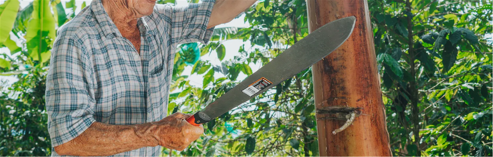 Machete para desbroce de terrenos