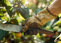 Aprende a seleccionar el machete correcto para la cosecha de frutas, consejos prácticos