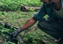 Cómo el machete modeló las prácticas agrícolas en América Latina