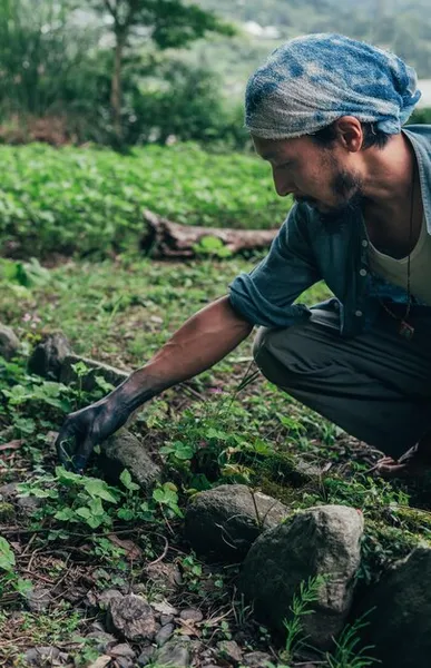 Como el Machete Modelo las Practicas Agricolas en America Latina