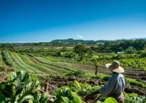 El machete en la era digital y su rol en la agricultura contemporánea