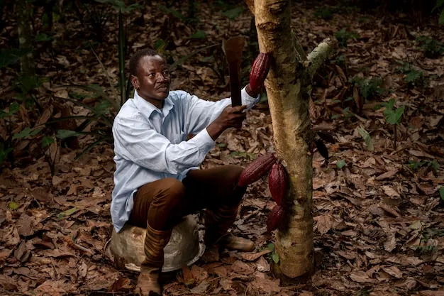 Historia del Machete Origenes y Evolucion en la Agricultura Mundial