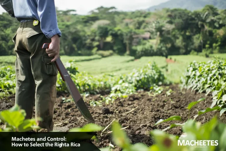 Machetes y Control de Erosion Seleccionando la Herramienta Adecuada para el Trabajo