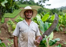 Personalización del Machete y Adaptaciones Locales en la Agricultura