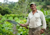 Técnicas seguras para el manejo del machete en el campo, aprende a usarlo correctamente