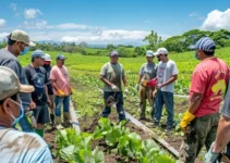 Trabajo en grupo para coordinar el uso seguro del machete en la agricultura