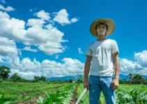 Machete en la agricultura, utilidad y estrategias para jóvenes agricultores