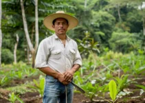 El machete y su papel en la lucha contra el cambio climático en la agricultura, experiencias desde Costa Rica