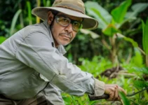 Ergonomía y machetes para prevenir lesiones en el trabajo agrícola