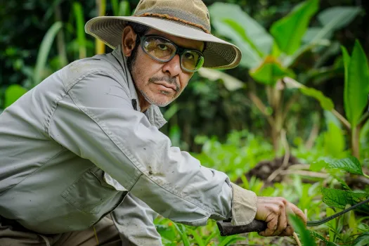 Ergonomia y Machetes Como Prevenir Lesiones en el Trabajo Agricola