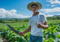 Machetes para agricultores principiantes, cómo elegir el adecuado